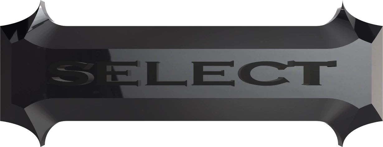 SELECT